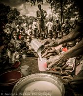 by georgi_kate, Views[211]