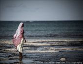 by georgi_kate, Views[216]