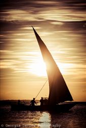 by georgi_kate, Views[312]