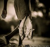 by georgi_kate, Views[315]