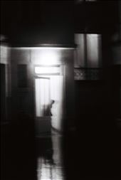 Stranger in the dark. : by georgiaelizabethforeman, Views[222]