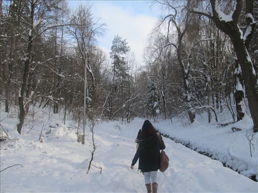 Visiting the Princely Citadel - Suceava