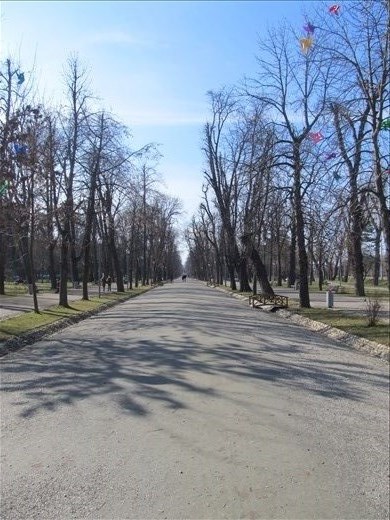 Central park - Cluj-Napoca