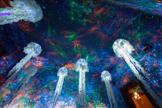 Samsara teahouse - Cluj-Napoca