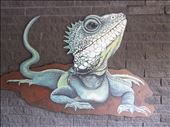 The reptile enclosure at Melbourne Zoo: by georgiaskipper, Views[164]