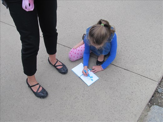 My cousin drawing in the lemur enclosure