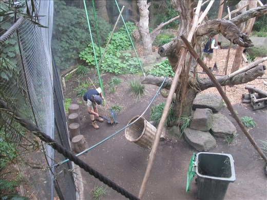 Funny looking monkeys