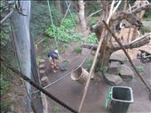 Funny looking monkeys: by georgiaskipper, Views[204]