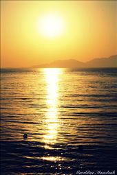 Sunrise at Sharm el Sheikh, Egypt. where everything looked golden.: by geraldine90, Views[281]