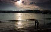 by gerusz, Views[268]
