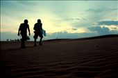 Desert Walkers: by ggaudion, Views[205]
