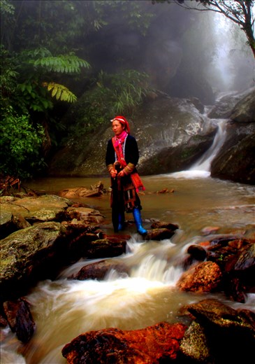 People of the Jungle