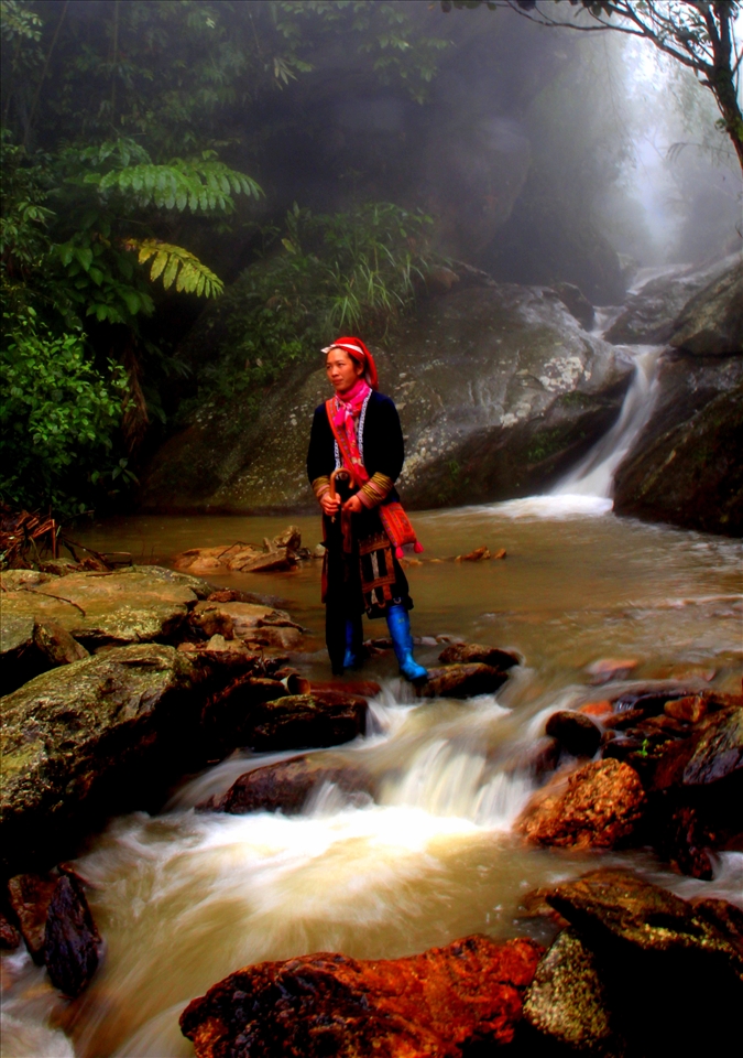 People of the Jungle