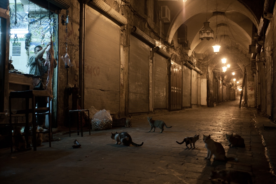 The only living beings to be seen at night in the souk are the butcher and hungry cats waiting for scraps.