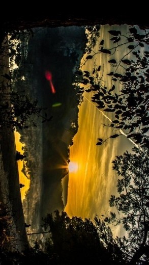 On one side of the busy Mumbai road, roaring with traffic, is a huge bridge. On the other side is the entrance to the Sanjay Gandhi National Park.

Morning view is bliss