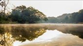 Winter here in my city is now as good as gone. Nights are comfortably cold, but it has started to become hotter day by day. At my place winter happens just as close as a morning sweet dream to someone: by gharatmanoj, Views[263]
