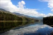 Surreal Munnar, Pic was clicked at Mattupetty Dam.: by gharatmanoj, Views[342]