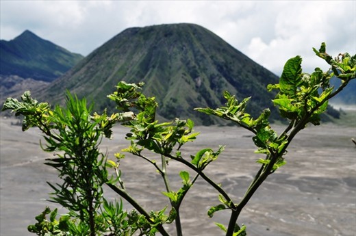 hide and  seek! i see you Mount Batok