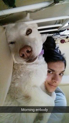 This is Charlie, and her beautiful dog Ghost. 