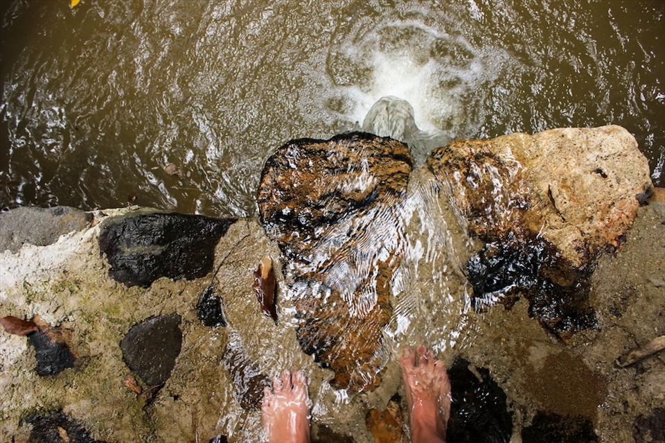 Small river flowing, giving life to plants animals and me.