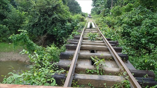 Track used by the Bamboo train