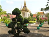 Royal Palace grounds: by gina_holley, Views[238]