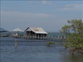 Quite a few community areas amonst the mangrove channels: by gina_holley, Views[284]
