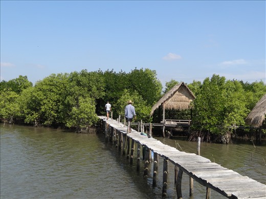 Walkways are not for the faint hearted