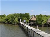 Walkways are not for the faint hearted: by gina_holley, Views[735]