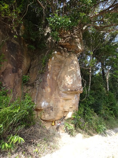 Interesting stone carving on road going up to Bokor station