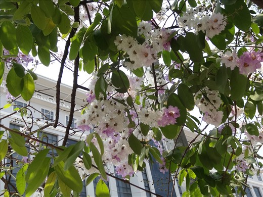 More gorgeous colours