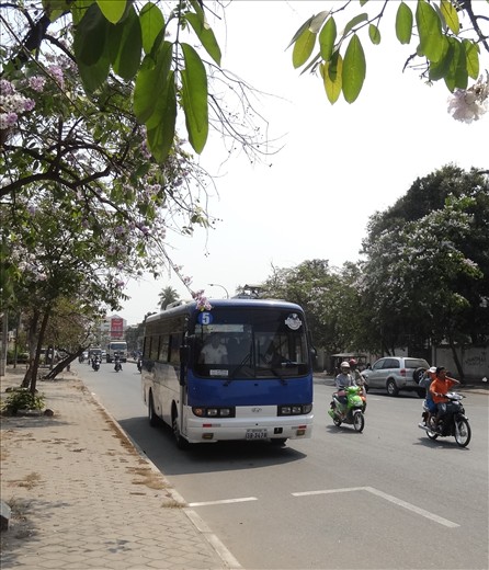 Public bus on trial for a month - very impressed with the ride