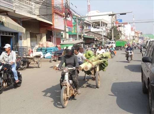 Banana trees coming back into PP - probably for a wedding