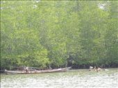 Ream National Park - Shrimp fishing by hand: by gina_holley, Views[1098]