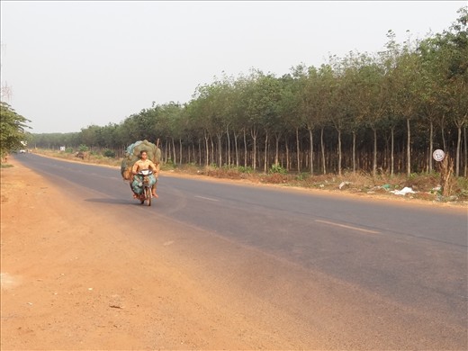 Pit stop on the way from Phnom Penh - great road now