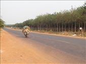 Pit stop on the way from Phnom Penh - great road now: by gina_holley, Views[351]