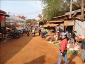 Town market - lots of alley ways and stalls with everything you need: by gina_holley, Views[3026]
