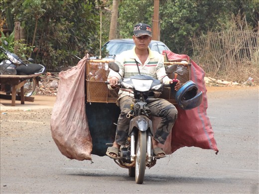 Recycycle collection (plastic and cans)