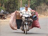 Recycycle collection (plastic and cans): by gina_holley, Views[335]