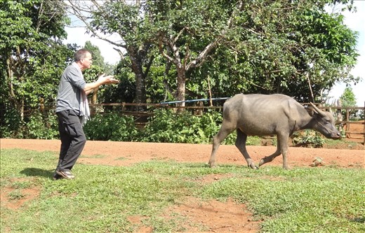 Rich desperately wanted his photo taken with a buffalo