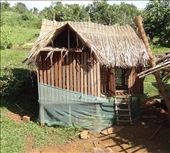 A great chicken run, Bunong style: by gina_holley, Views[268]