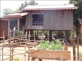Village house with vegie garden: by gina_holley, Views[311]