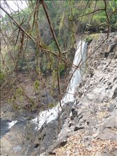 Lower level in the dry season: by gina_holley, Views[285]