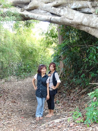 Some glorious old trees on the walk around the lake