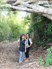 Some glorious old trees on the walk around the lake: by gina_holley, Views[285]