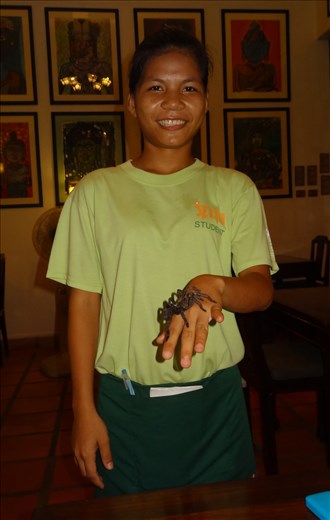 Tarantula alive and well