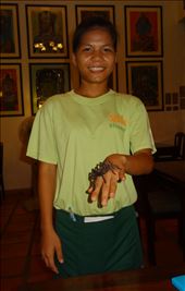 Tarantula alive and well: by gina_holley, Views[224]