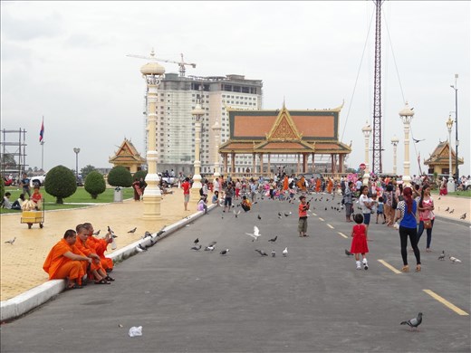 Pigeon feeding time near the Royal Palace