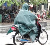 Not as elegant but safe at least: by gina_holley, Views[287]