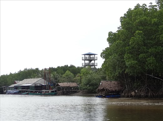 Tower in the distance - taken from one of the mangrove channels